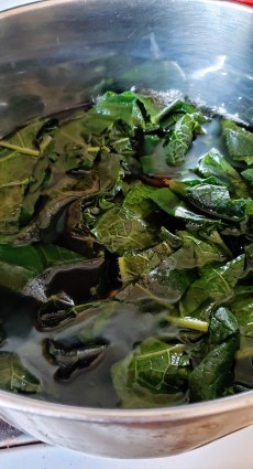 simmering comfrey