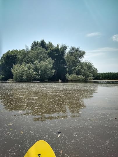 Pelican pe langa Lacul Nebunu