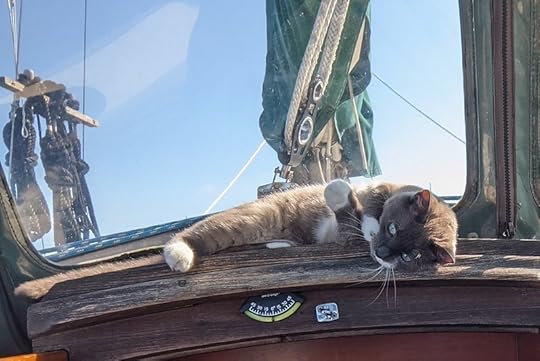 Baluga Greyfinger in cute mode