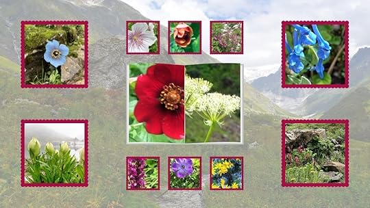 Himalayan Flowers
