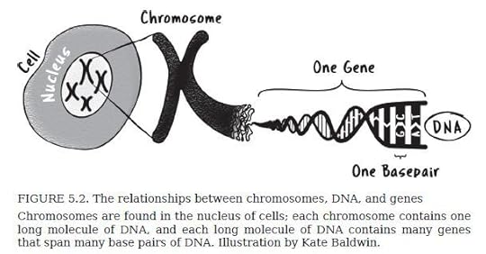 A Series of Fortunate Events: Chance and the Making of the Planet, Life