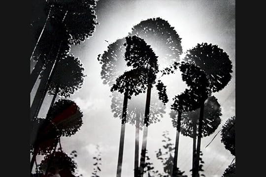 Photography by  Toni Schneider