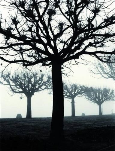 Photography by  Toni Schneider