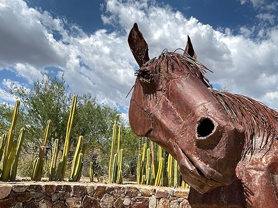 tohono-chul-art-tohono-chul-botanical-gardens, Tohono Chul Gardens