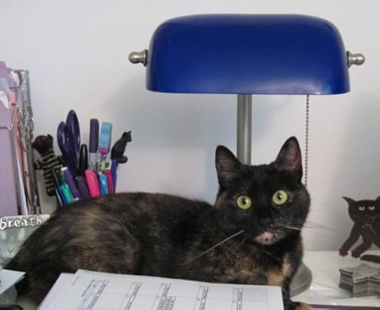 cat_with_lamp_shade