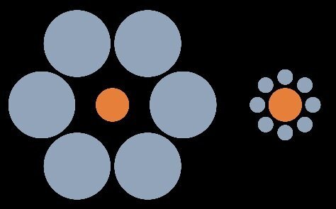 The Ebbinghaus illusion.