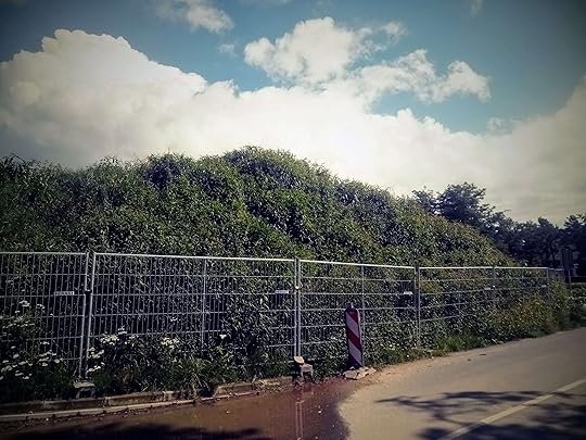 Perzikkruid en anderen