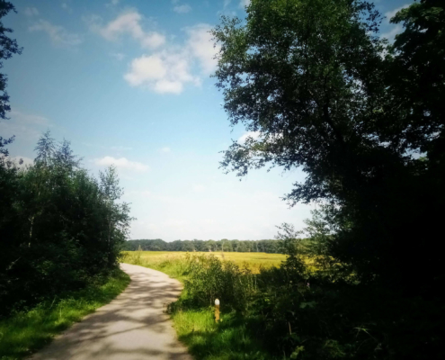 Rondje Laarder Wasmeer