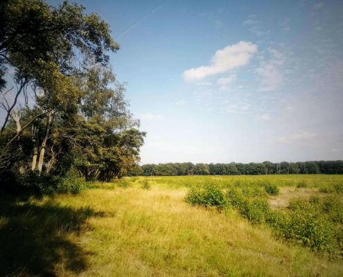 Rondje Laarder Wasmeer