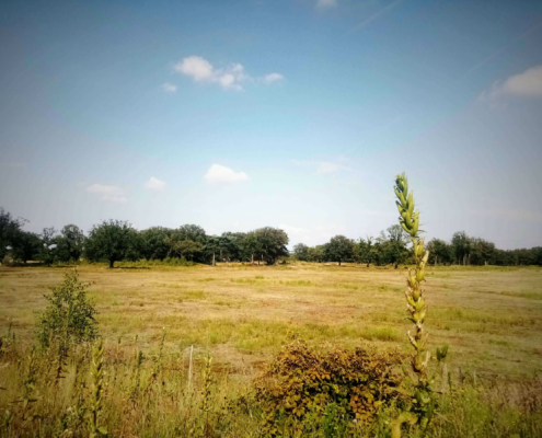 Rondje Laarder Wasmeer