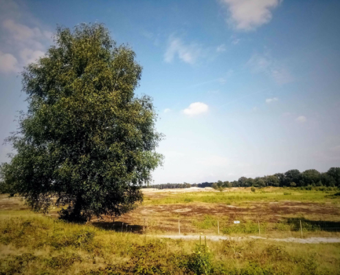 Rondje Laarder Wasmeer
