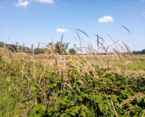 Rondje Laarder Wasmeer