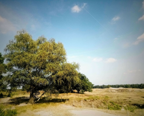Rondje Laarder Wasmeer
