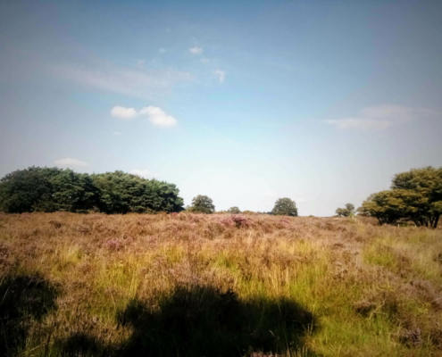 Rondje Laarder Wasmeer