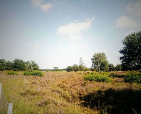 Rondje Laarder Wasmeer