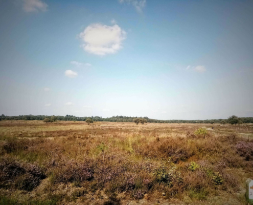 Rondje Laarder Wasmeer