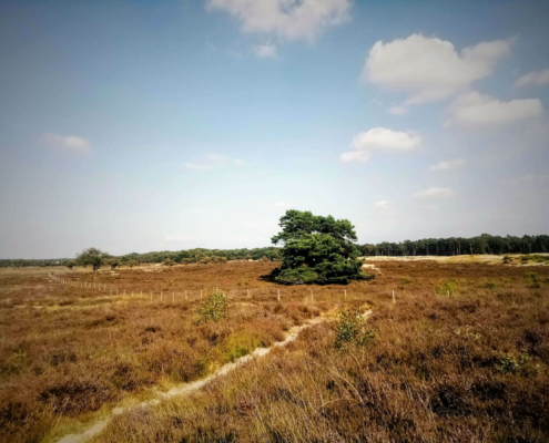 Rondje Laarder Wasmeer