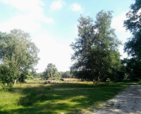 Rondje Laarder Wasmeer