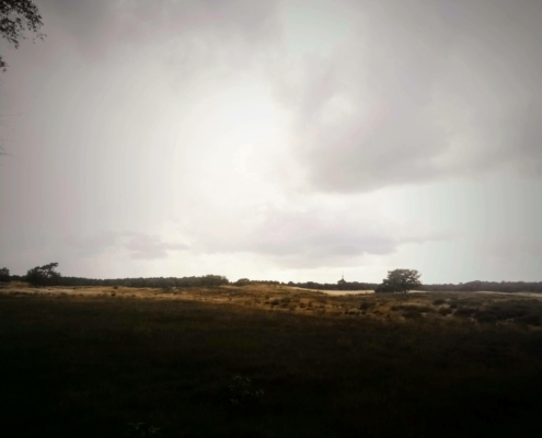 Zondagmiddag Wandeling in de Regen