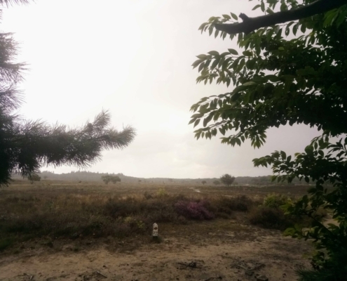 Zondagmiddag Wandeling in de Regen