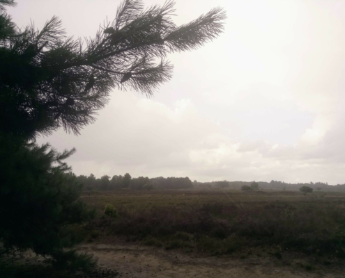 Zondagmiddag Wandeling in de Regen