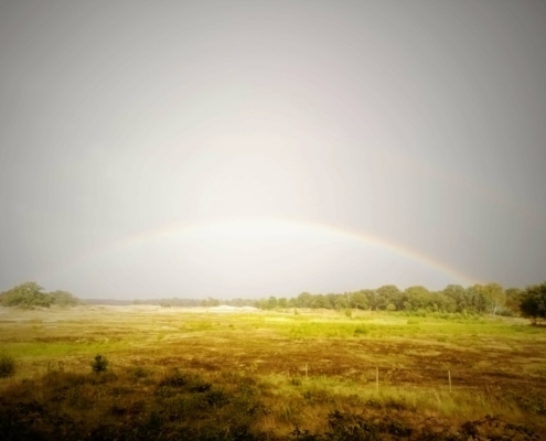 Zondagmiddag Wandeling in de Regen