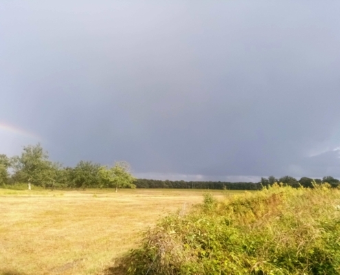 Zondagmiddag Wandeling in de Regen