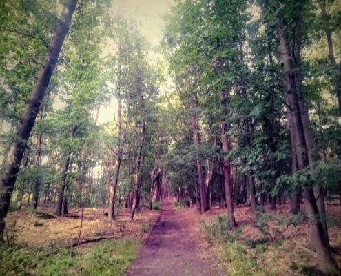 Maandagmiddag Wandeling