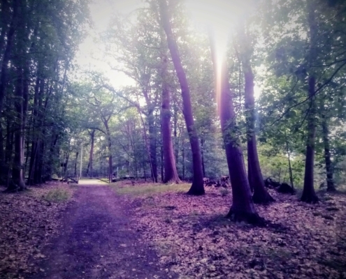Maandagmiddag Wandeling