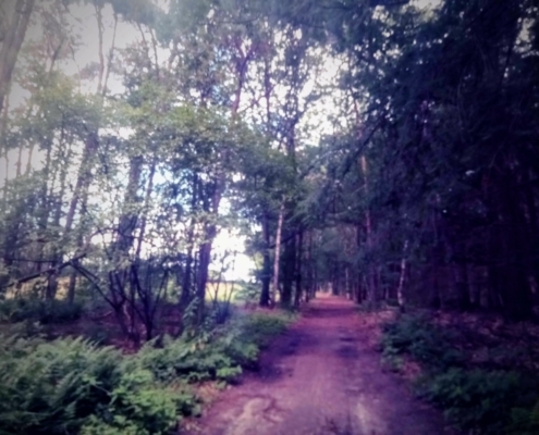 Maandagmiddag Wandeling
