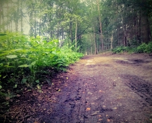Maandagmiddag Wandeling