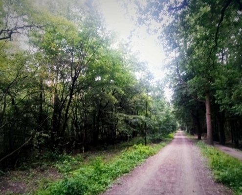 Maandagmiddag Wandeling