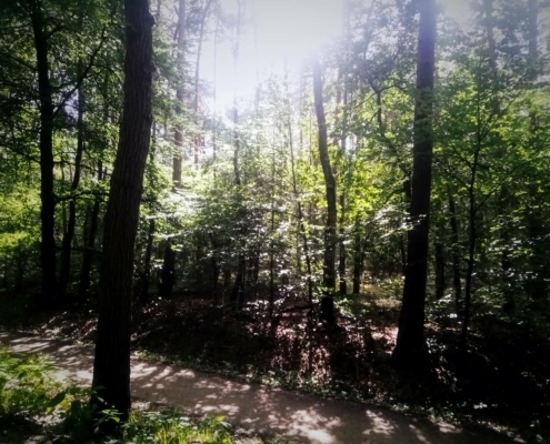 Maandagmiddag Wandeling