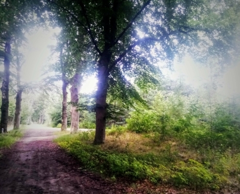 Maandagmiddag Wandeling