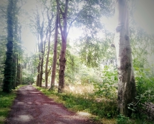 Maandagmiddag Wandeling