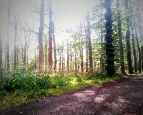 Maandagmiddag Wandeling