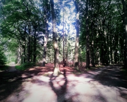 Maandagmiddag Wandeling