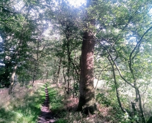Maandagmiddag Wandeling