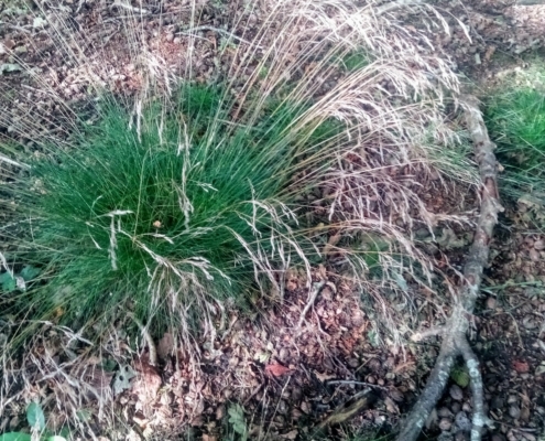 Maandagmiddag Wandeling