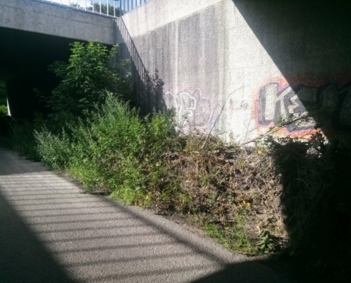 Maandagmiddag Wandeling