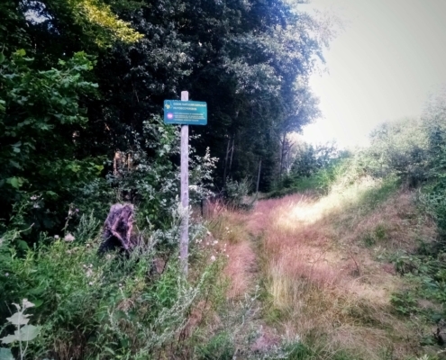 Maandagmiddag Wandeling