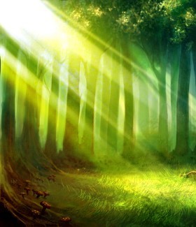 Light