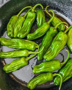 shishito peppers in pan