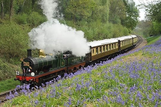 Bluebell Railway and the Golden Arrow service among the bluebells, train journeys