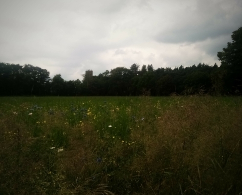 Zondagmiddag wandeling