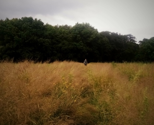 Zondagmiddag wandeling