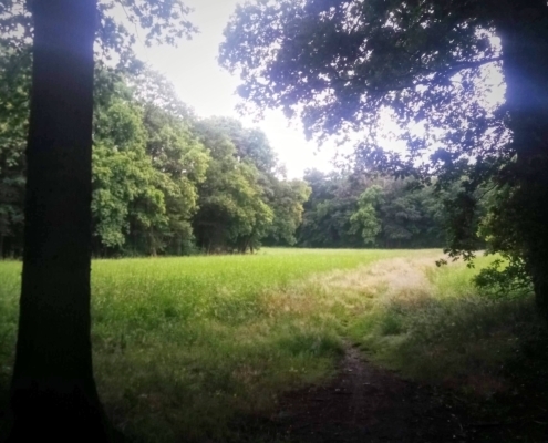 Zondagmiddag wandeling