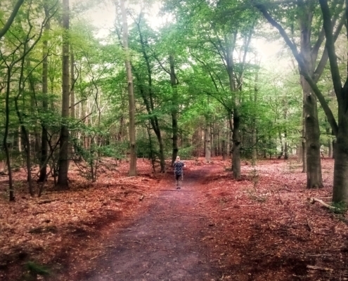 Zondagmiddag wandeling