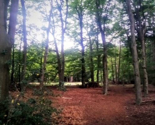 Zondagmiddag wandeling