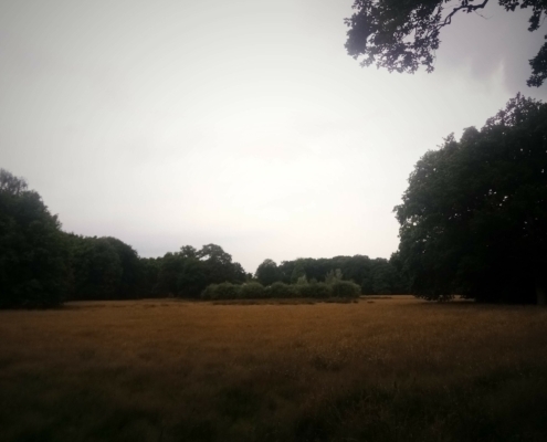 Zondagmiddag wandeling